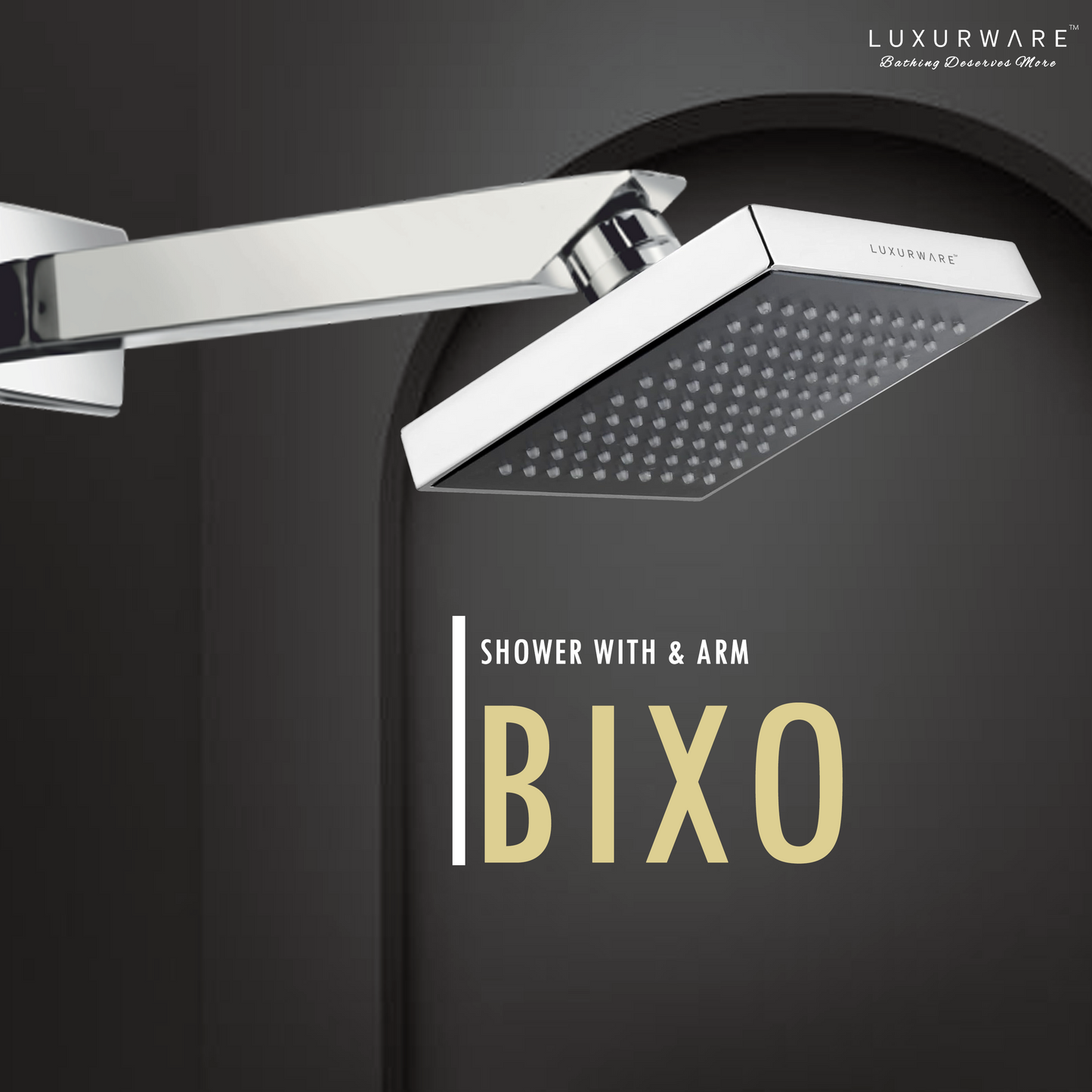 BIXO Shower  4 inch Shower head with 9 inch SS 304 Arm