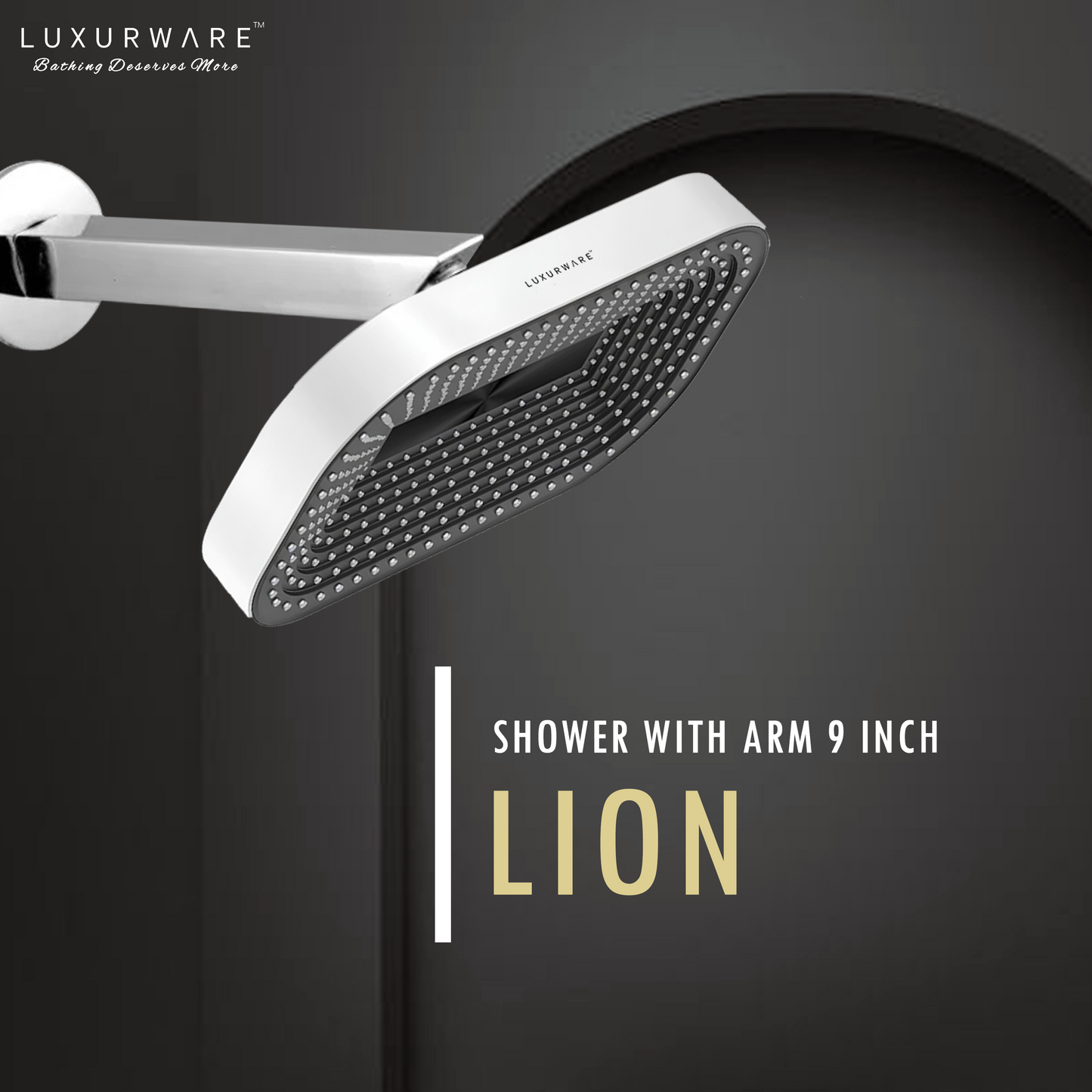 LION Shower 4 inch Shower head with 9 inch SS 304 Arm