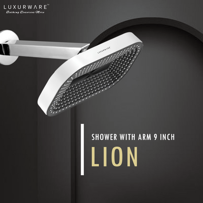 LION Shower 4 inch Shower head with 9 inch SS 304 Arm