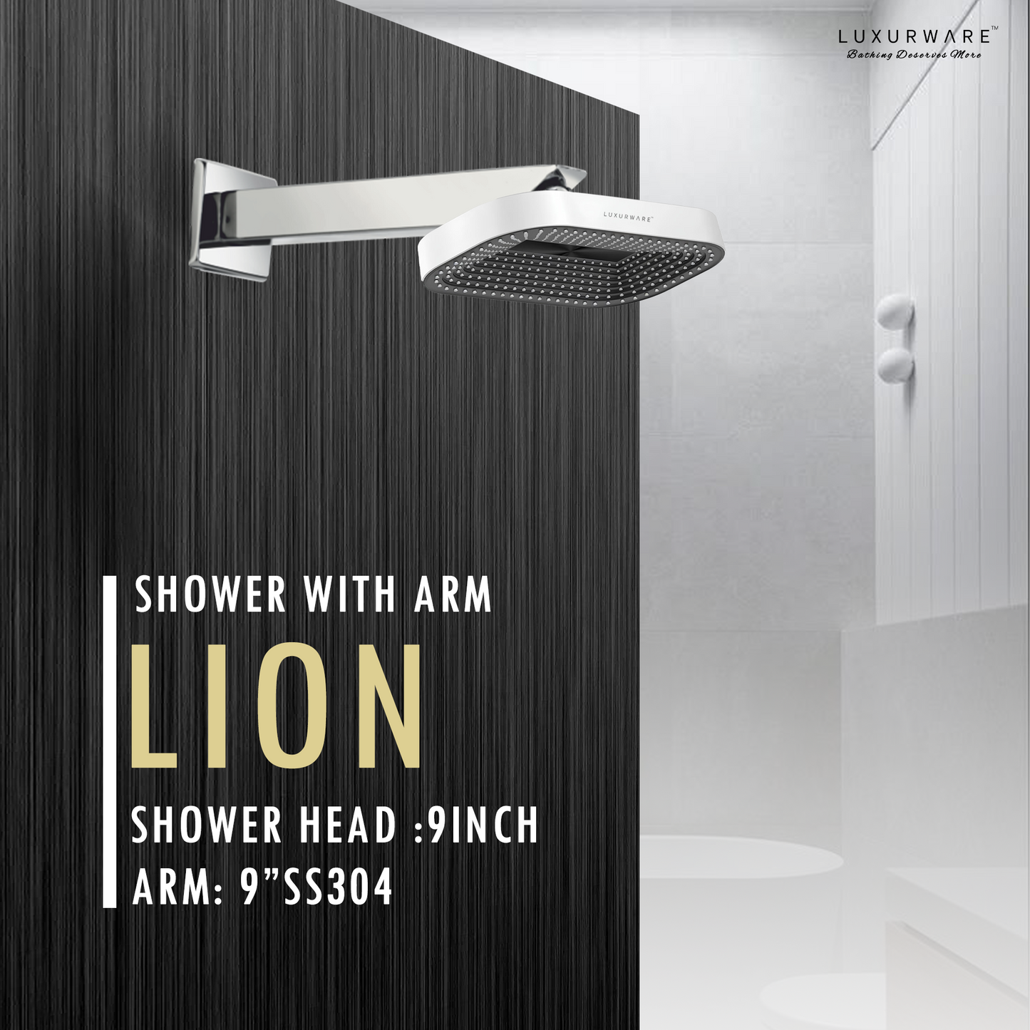 LION Shower 4 inch Shower head with 9 inch SS 304 Arm