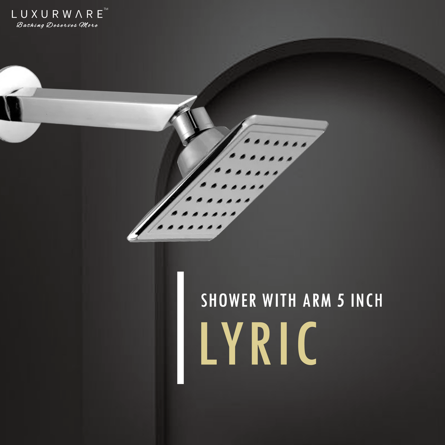 Lyric Shower 5 inch Shower head with 9 inch SS 304 Arm
